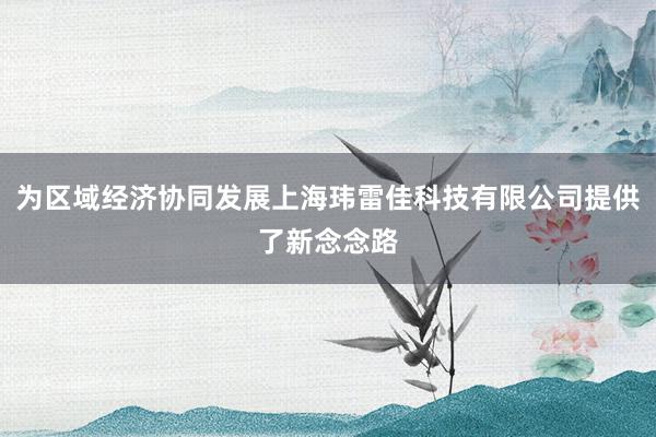 为区域经济协同发展上海玮雷佳科技有限公司提供了新念念路