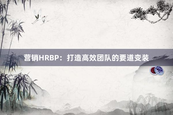 营销HRBP：打造高效团队的要道变装
